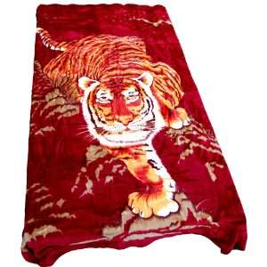  Soft Queen Size Korean Mink Blanket   Downward Tiger Print 