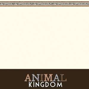 Animal Kingdom II 12 x 12 Paper