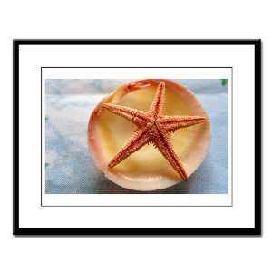  Large Framed Print Sea Shell and a Starfish Everything 