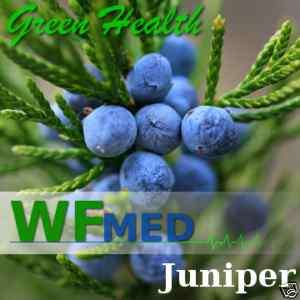 Juniper Berry Essential Oil 100% PURE Wholesale   16 oz  