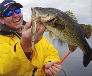 patrick sebile admires spawning bass caught on a dropshot rig fished 
