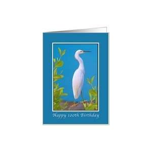 Birthday, 100th, Snowy Egret Bird Card Toys & Games