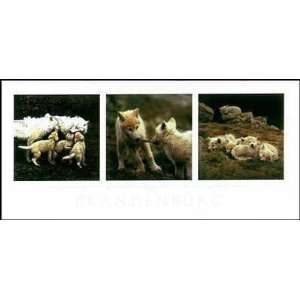  Wolf Family Portrait Poster Print