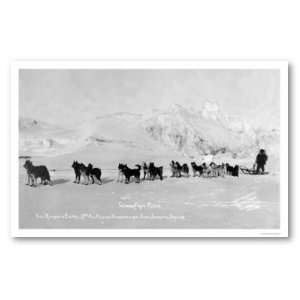  Dog Sled Champions Alaska 1910 Poster