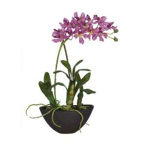  Mini Vanda w/Black Vase Silk Flower Arrangement