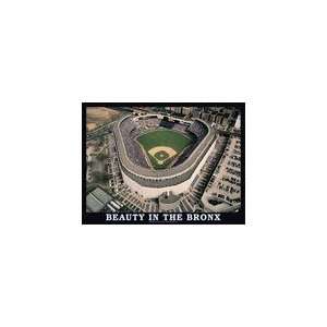    New York Yankees Beauty in the Bronx Puzzle