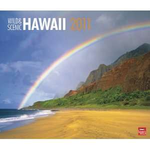  Wild & Scenic Hawaii 2011 Deluxe Wall Calendar Office 