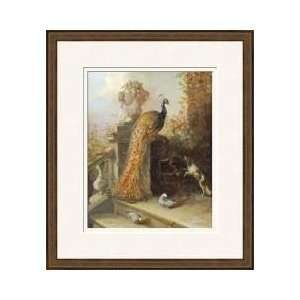 Peacock On A Terrace With A Dog And Pigeons Framed Giclee Print 