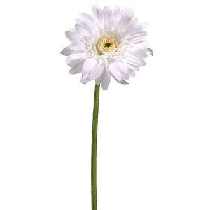  Faux 21 Gerbera Daisy Spray White (Pack of 12) 