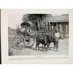 Country Cart Bullock Rangoon Mandalay Old Print 1931