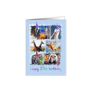  Colorful 37th Birthday Zoo Animals Card Toys & Games