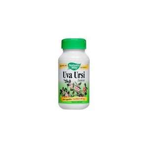  Uva Ursi Leaves   Used for a Healthy Urinary Antiseptic 