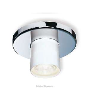  Shy Cup ceiling light