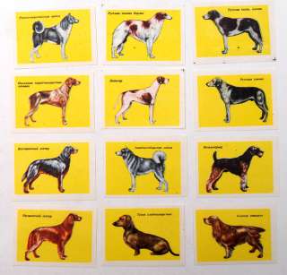 1960s Russia DOGS 12 Matchbox Labels  