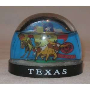  Texas Snow Globe 