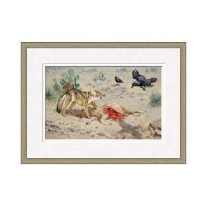   Dead Sheep From Scavenger Ravens Framed Giclee Print