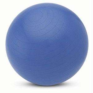  65cm Burst Resistant Body Ball