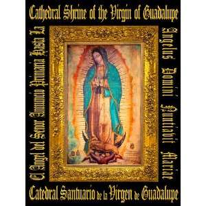  The Cathedral Virgin of Guadalupe Shrine (English and 