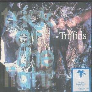   INCH (7 VINYL 45) UK ISLAND 1987 TRIFFIDS (AUSSIE GROUP) Music