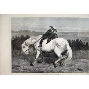 1873 Equo Ne Credite Teucri Horse Children Fine Art