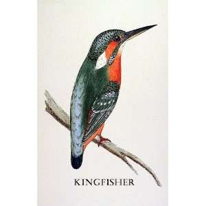 Birds Kingfisher Sheet of 21 Personalised Glossy Stickers or Labels
