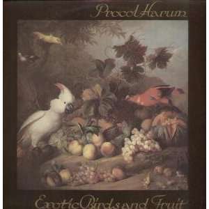  EXOTIC BIRDS AND FRUIT LP (VINYL) UK CHRYSALIS 1974 