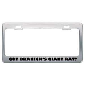 Got BranickS Giant Rat? Animals Pets Metal License Plate Frame Holder 