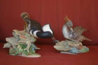 Boehm Birds Limited Edition Hooded Mergansers Porcelain  