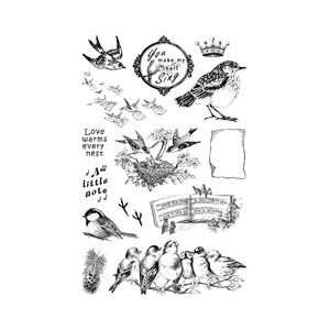   Clear Art Stamps Medium 6X4 Sheet   Bird Notes Arts, Crafts & Sewing