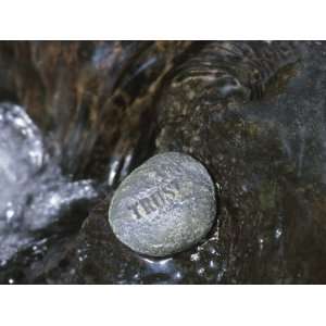  Stone with Word Trust in Water of Tranquil Stream 