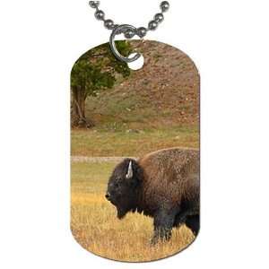 Buffalo bison Dog Tag with 30 chain necklace Great Gift Idea