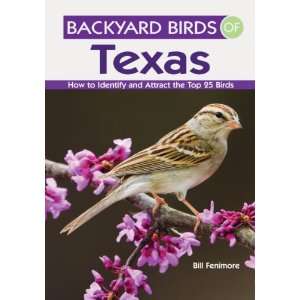  Gibbs Smith Publishing Backyard Birds of Texas Patio 