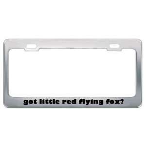 Got Little Red Flying Fox? Animals Pets Metal License Plate Frame 