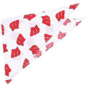  Build A Bear Workshop University of Wisconsin Bandanna 