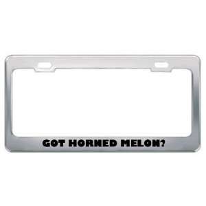  Got Horned Melon? Eat Drink Food Metal License Plate Frame 