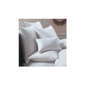   Thread Count Cover 100% Egyptian Cotton, Allergy Free