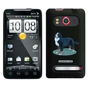    Bernese Mountain Dog on HTC Evo 4G Case  Players & Accessories