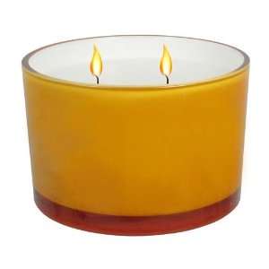  SONOMA life + style Mandarin And Starfruit Jar Candle 