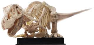 3d capsule encyclopedia solid dinosaur zukan 1 100 model t rex bone