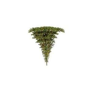  Vickerman 22826   5 x 69 Kenton Upside Down 300 Clear 