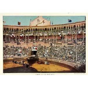  1922 Print Lisbon Bullring Bullfighting Fans Bulls 