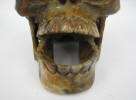 Petrified Fossilized Wood Hand Carved Human Skull  