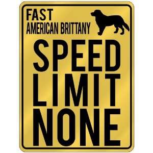  New  Fast American Brittany   Speed Limit None  Parking 