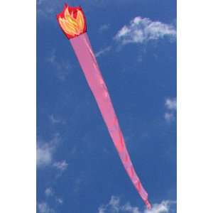  20ft Red Flame Dragon Kite Toys & Games