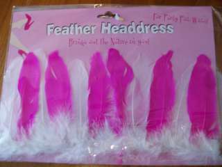 Hen Stag Fancy Dress Pink Feather Indian Headdress  