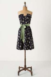 Anthropologie   Sing Sweetly Party Dress  