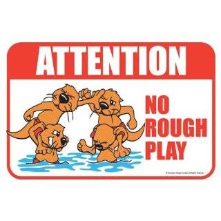 Rex Otter Pool Sign   No Rough Play