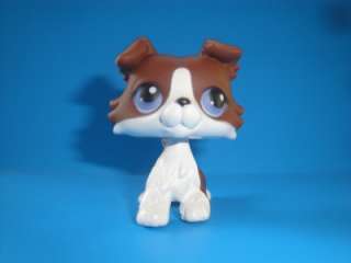 Littlest Pet Shop Rare Chocolate Brown & White Collie Puppy Dog w 