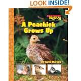 Peachick Grows Up (Scholastic News Nonfiction Readers Life Cycles 