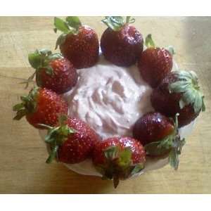 Fruit Dip Strawberry Mix  Grocery & Gourmet Food